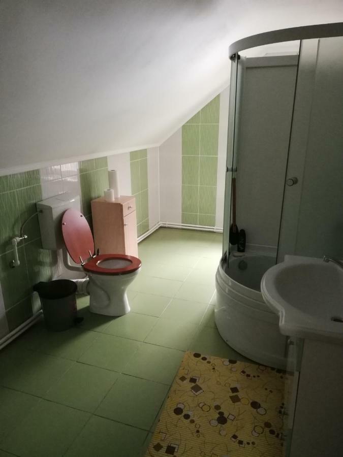 Pension, Camping & Biker Station Zur Deutschen Eiche Ciocanesti Extérieur photo